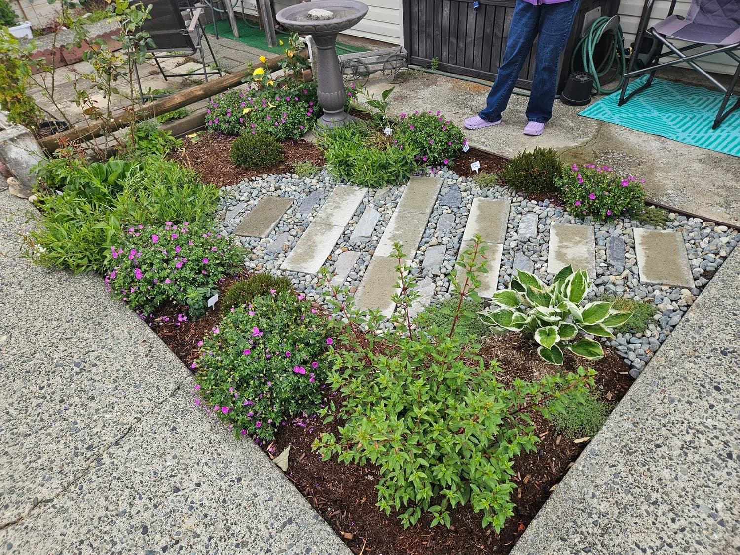 Stepping stone garden path through mixed plantings with birdbath