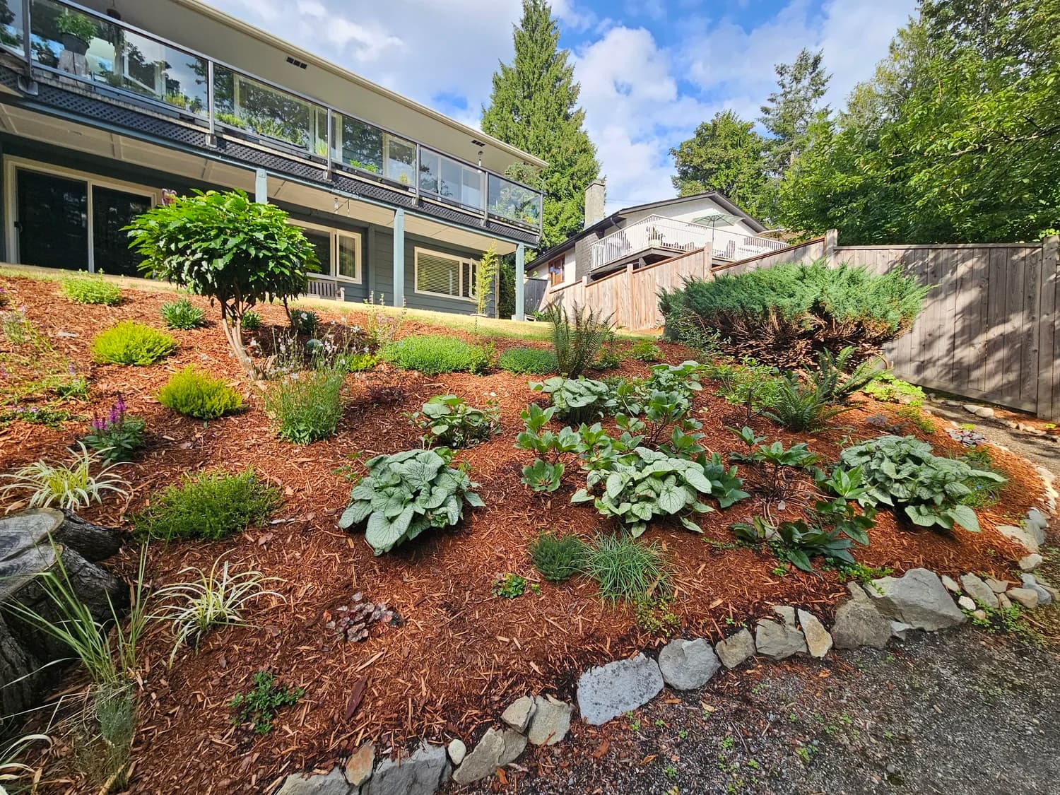 Sloped garden bed with hostas and mixed perennials beside a modern home