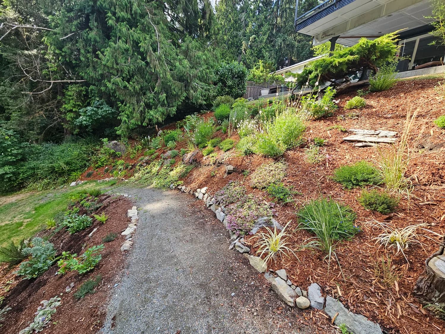 Garden pathway winding up a planted hillside with stone edging