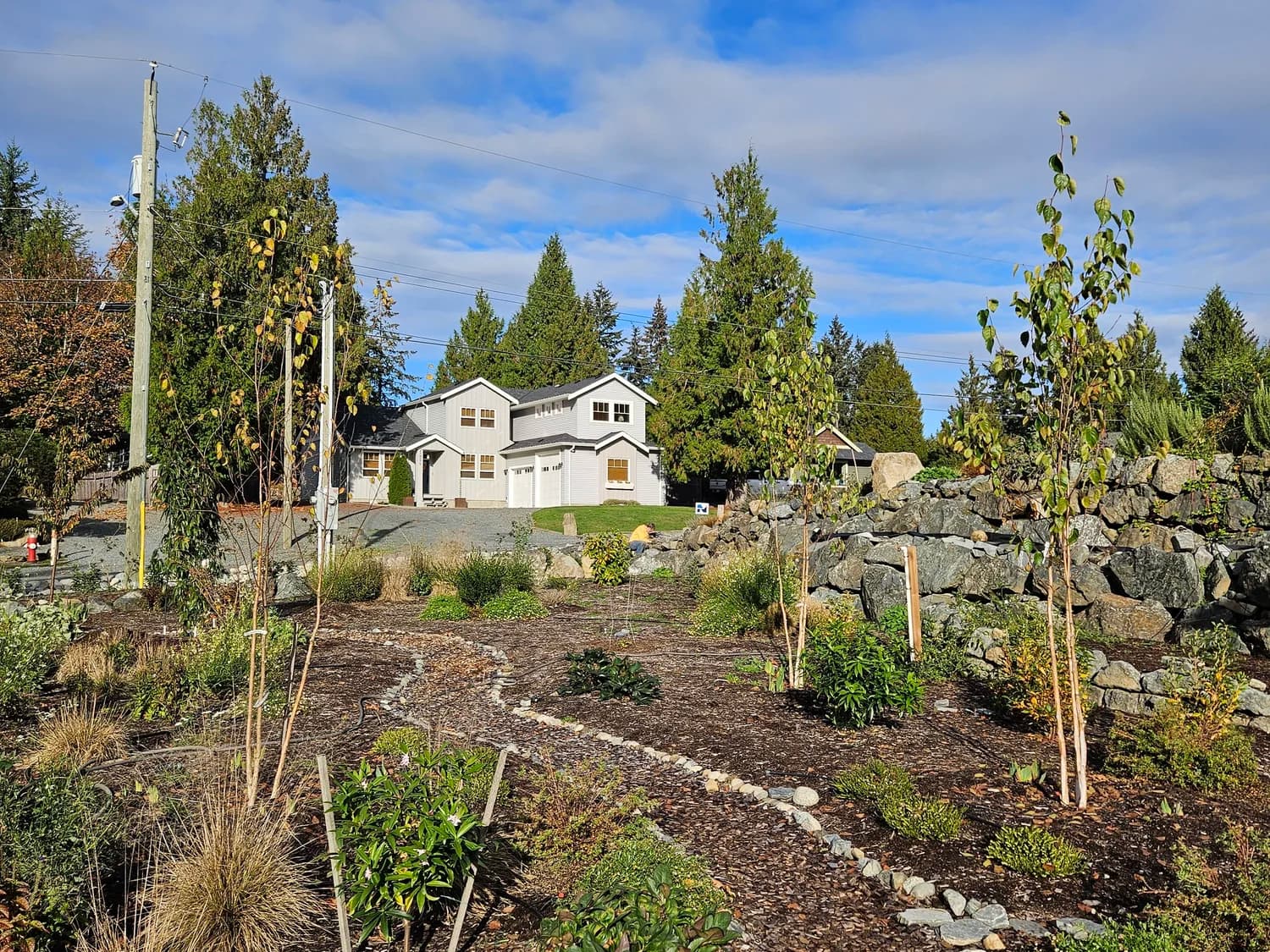 Established naturalistic garden with young trees, rock wall, and winding gravel path